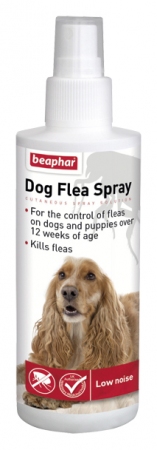Dog Flea Control